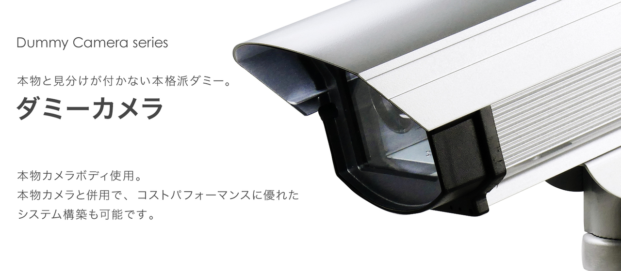 dummy camera