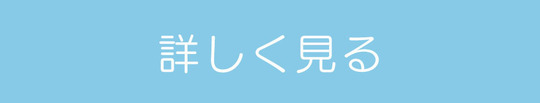 詳しく見るボタン.jpg